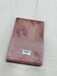 Silver Silk saree - Pastel skin color